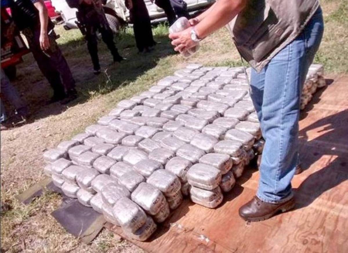 Policía incauta 719 kilos de marihuana en camión