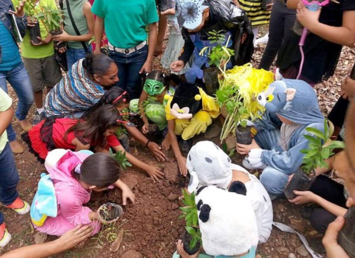 Celebran el Día del Árbol en Honduras