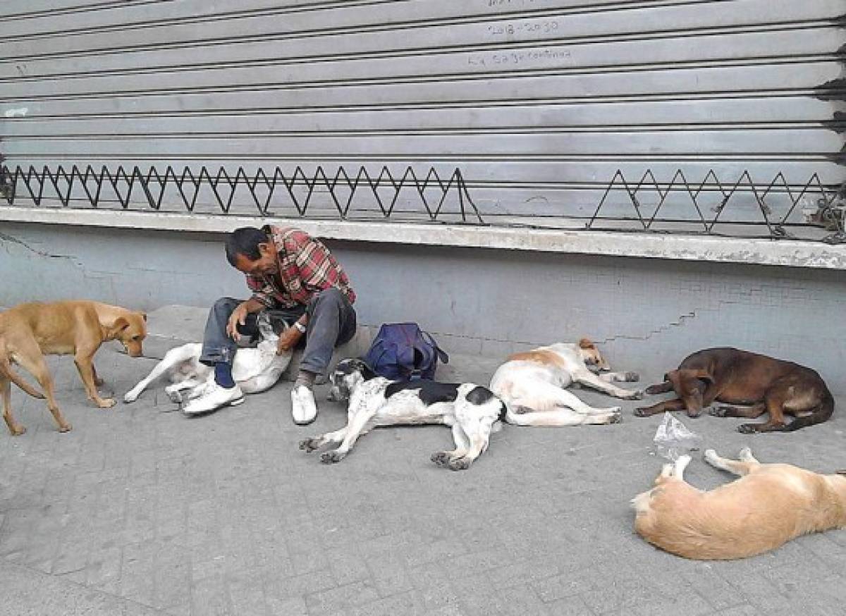 El encantador de perros hondureño