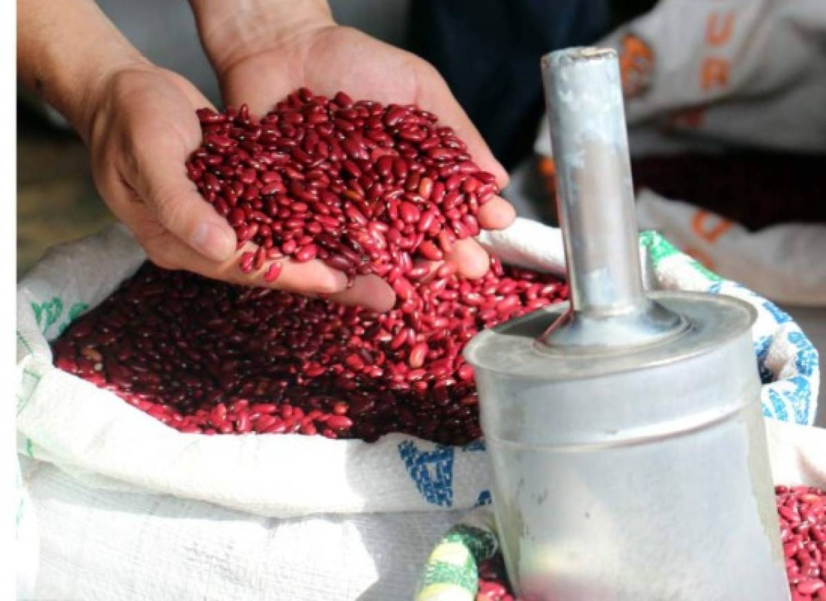 Frijoles rojos cuestan entre 75 y 80 lempiras la medida