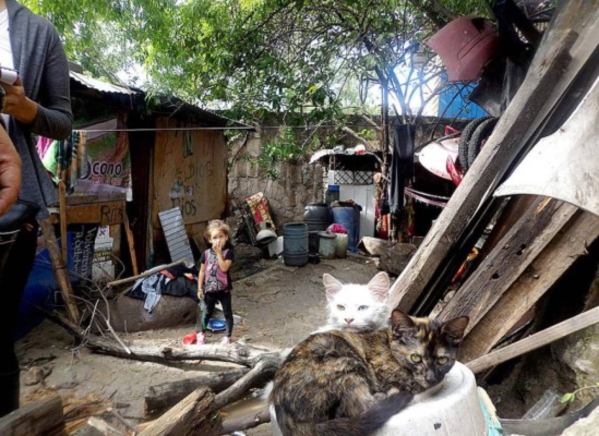 Capital de Honduras en alerta por desbordamiento de río Choluteca