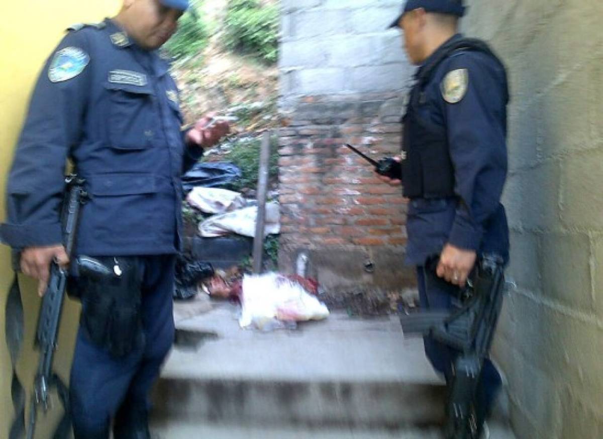 Hallan cadáver descuartizado en la colonia Villa Cristina