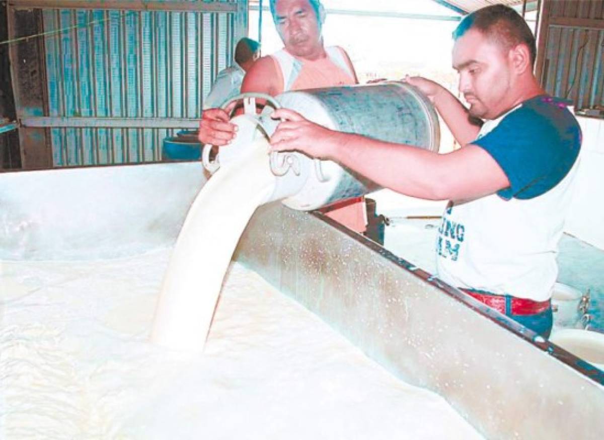 Sequía reducirá producción de leche