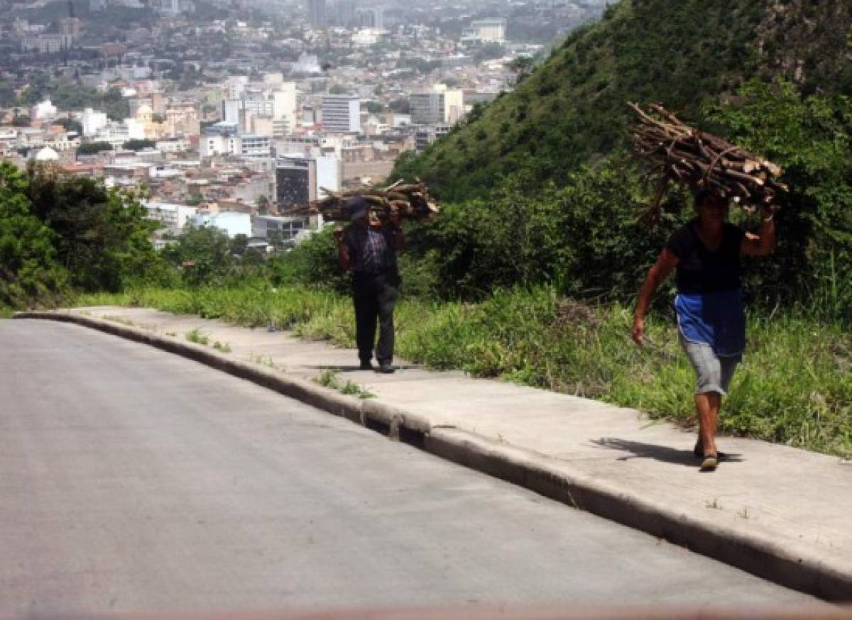 Las Fotos de la Semana en ElHeraldo.hn