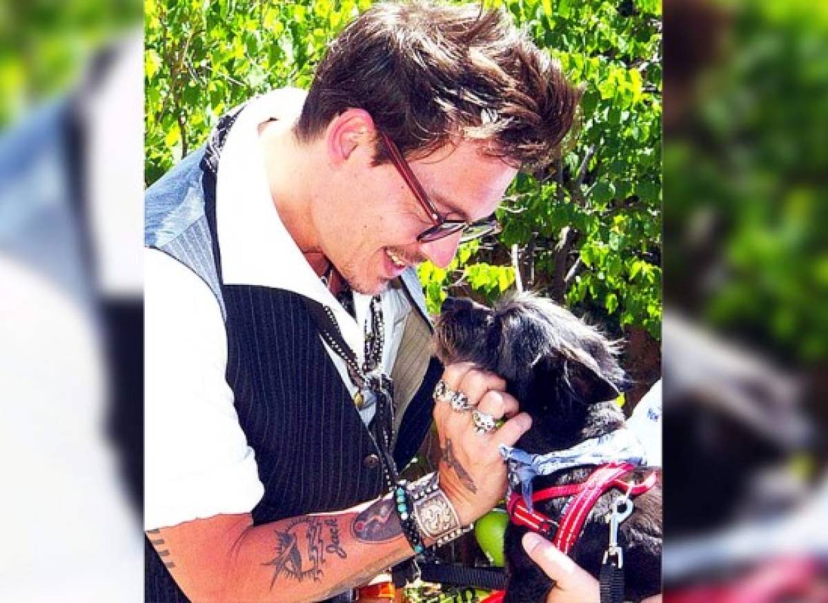 Amenazan con sacrificar a perros de Johnny Depp