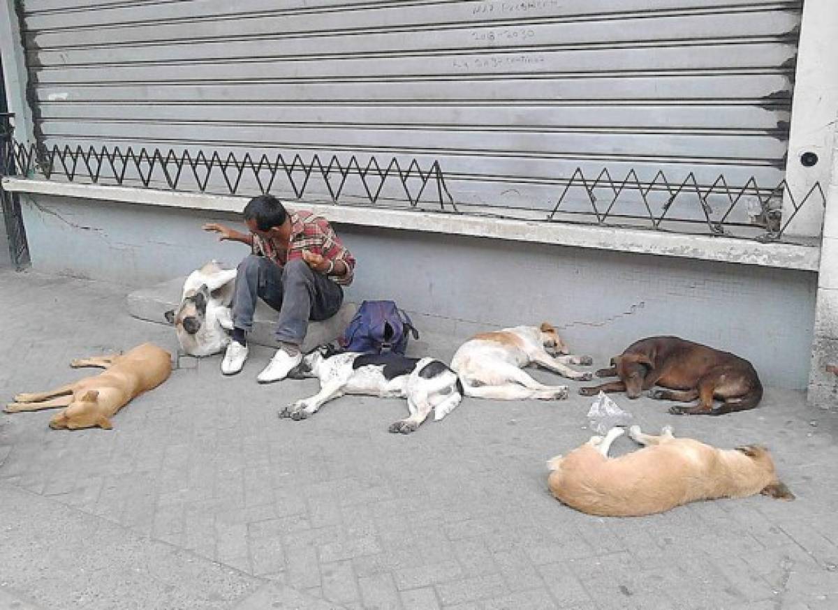 El encantador de perros hondureño