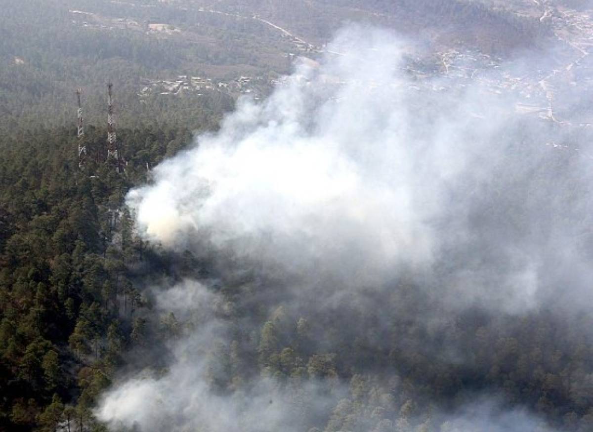 Honduras: Más de 17 mil hectáreas de bosque consumidas por incendios