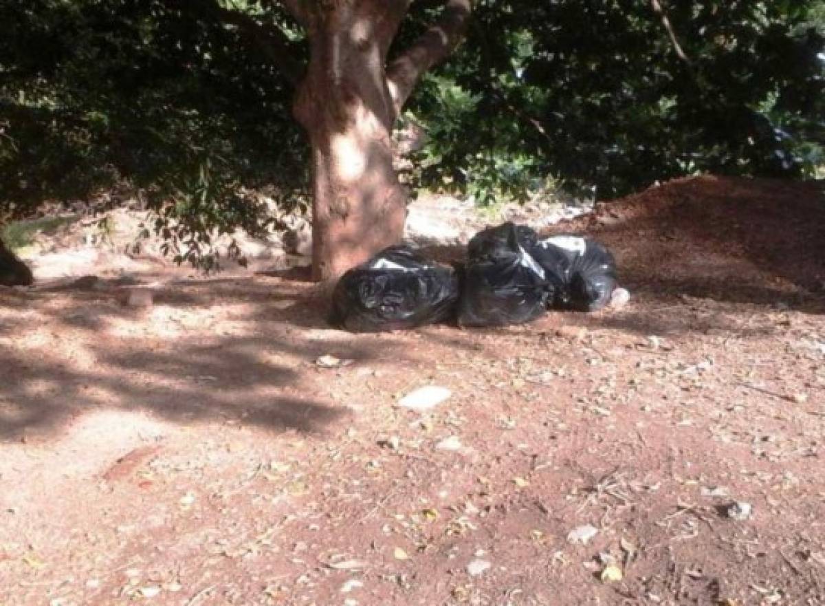 De tres niñas son los cuerpos encontrados en bolsas en Los Llanos