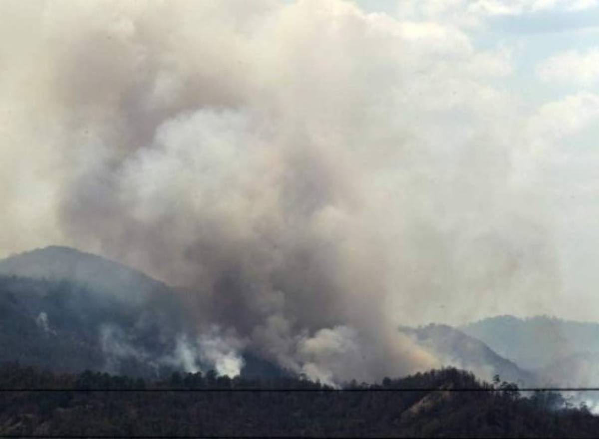 Honduras: Arde el bosque en Mala Laja