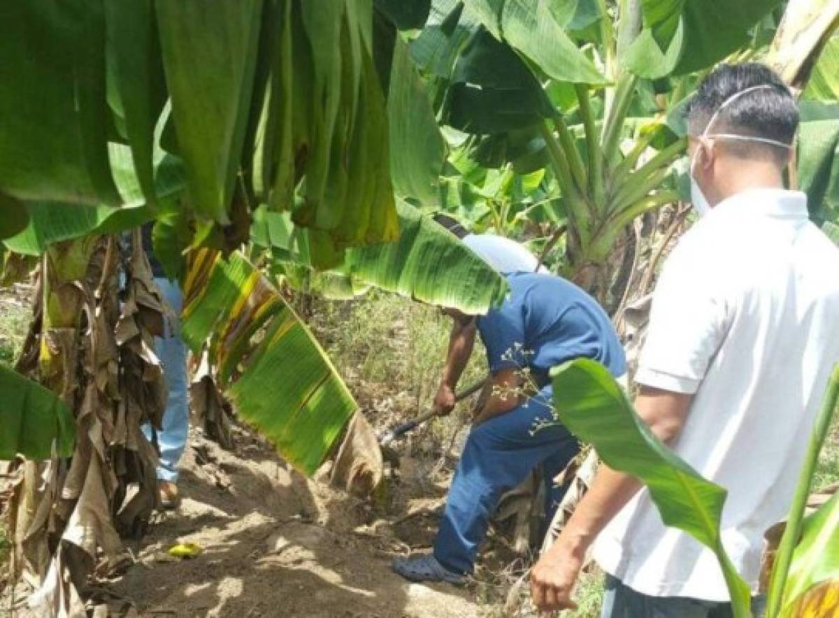 Armas de grueso calibre encontraron en cementerio clandestino de Quimistán