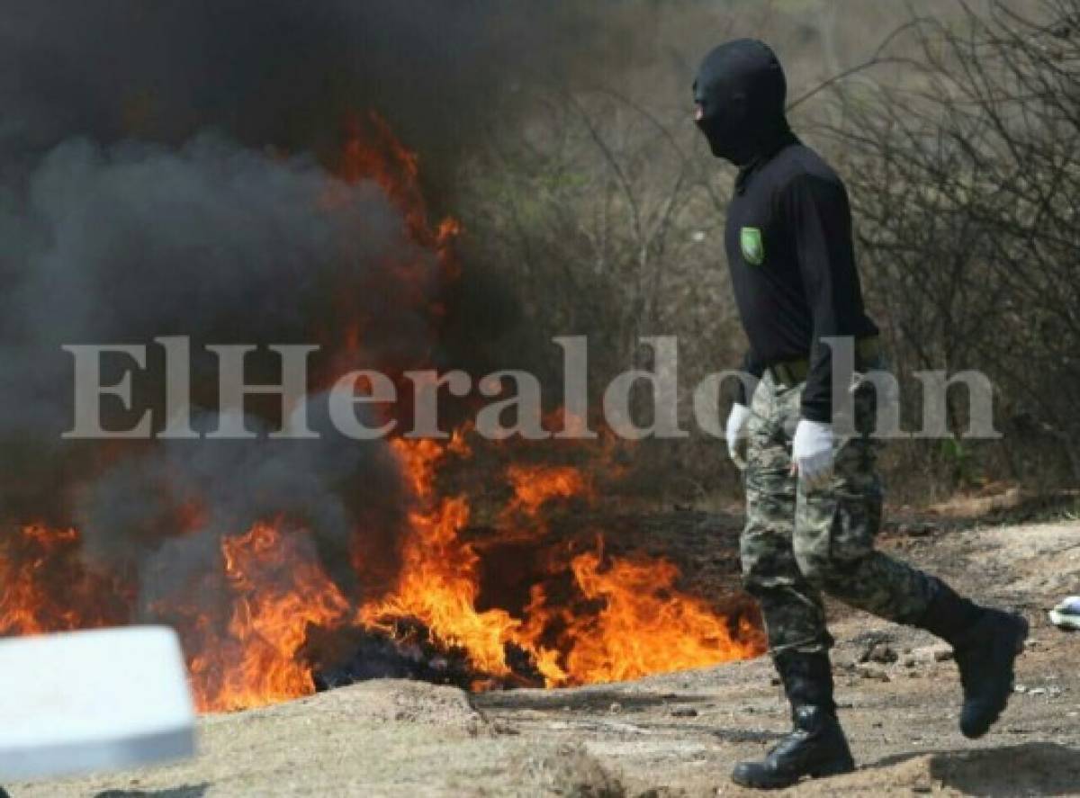 En el día del cannabis, Policía Militar de Honduras quema mil libras de marihuana