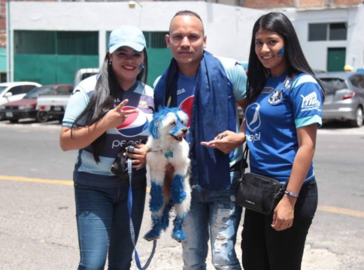 Darth Vader, un perrito azul y un detenido, entre lo más curioso de la gran final Motagua - Honduras de El Progreso