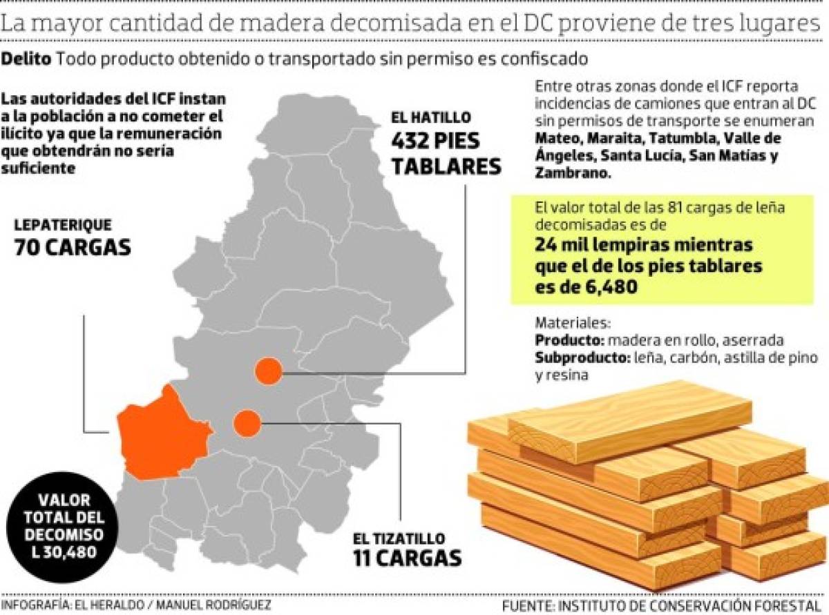 El pino y el roble, los más afectados por tala ilegal en 2019