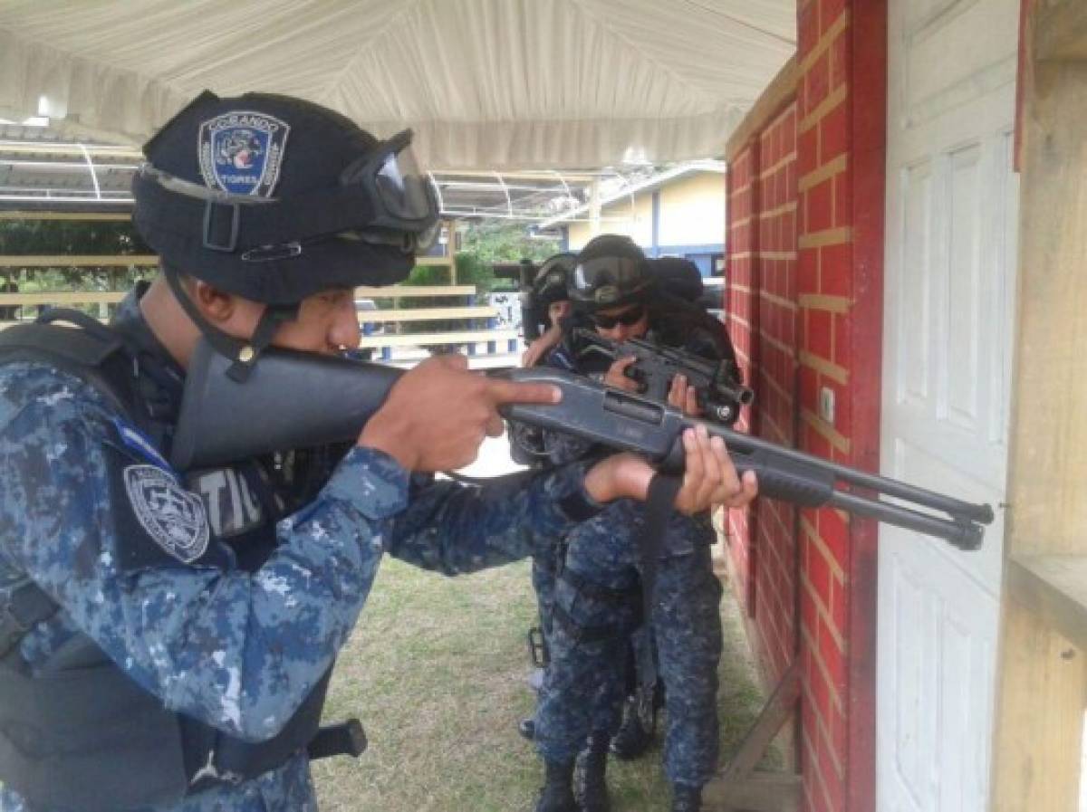 Se gradúan 74 TIGRES en cursos de combate