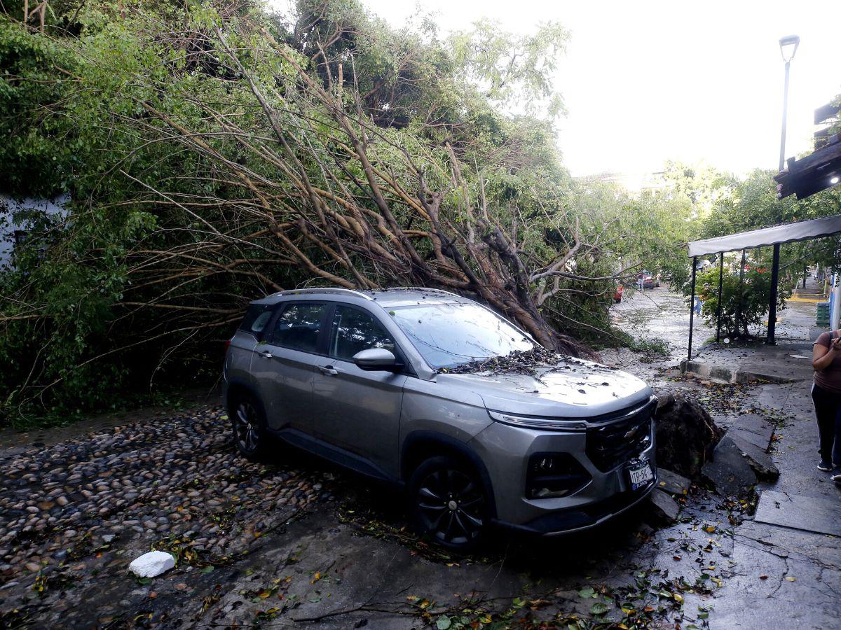 Al menos dos muertos y graves daños deja huracán Lidia en México