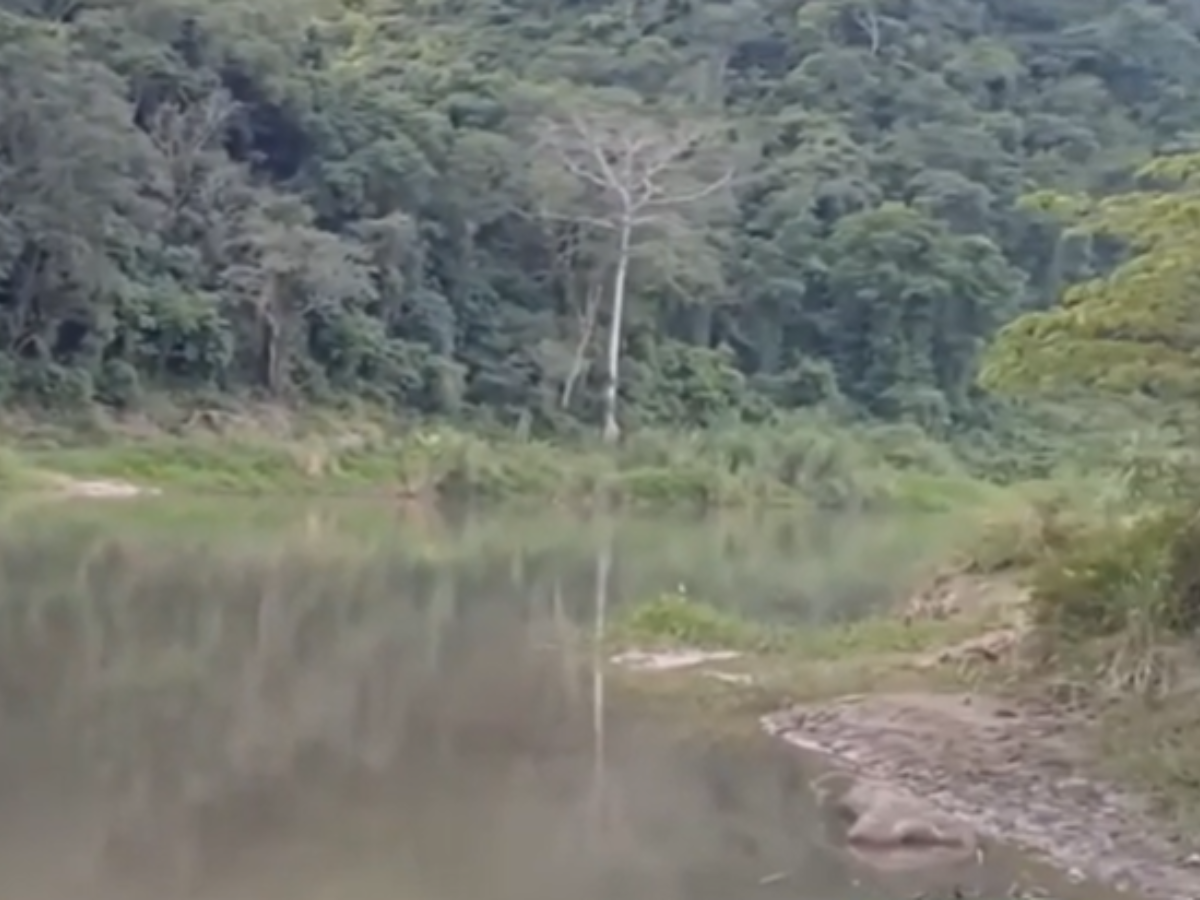 Joven muere ahogado en el río Chamelecón; buscan su cuerpo