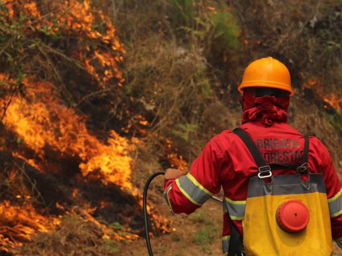 El 78% de los incendios forestales son causados por incendiarios