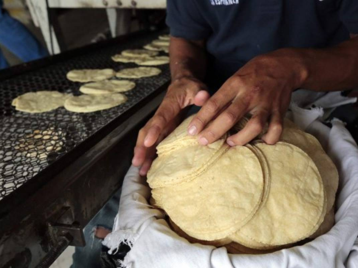Gobierno no permitirá que productores le aumenten a las tortillas