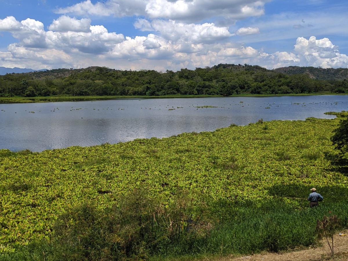 Declarada Sitio de Importancia para la Vida Silvestre la Laguna Jucutuma