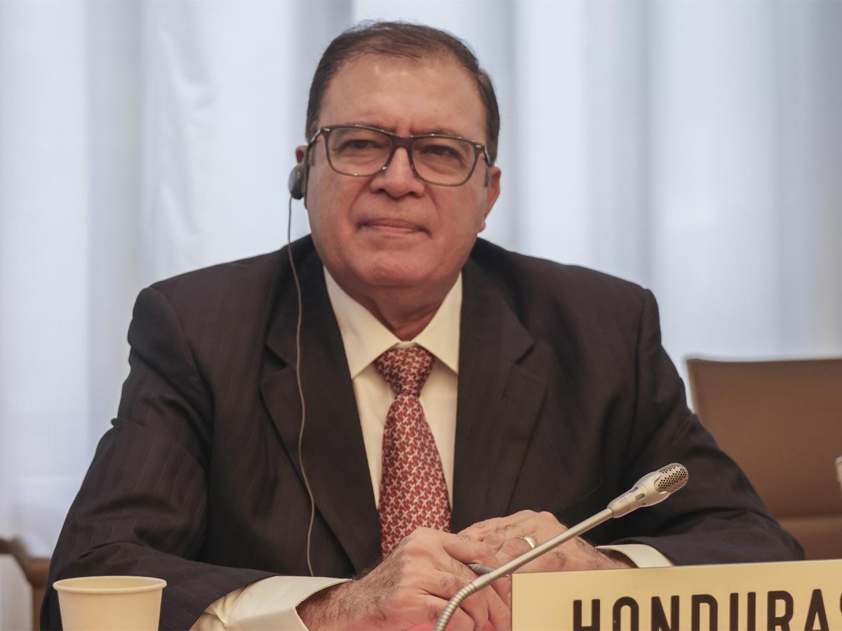 <i>Fredis Alonso Cerrato Valladares, secretario de Estado en el Despacho de Desarrollo Económico.</i>