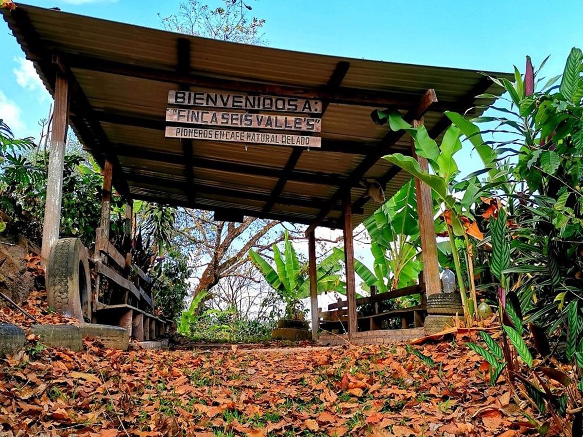 <i>Finca Seis Valles ofrece una visita guiada por los extensos campos de café orgánico, una experiencia que conecta la naturaleza con la historia del café hondureño.</i>