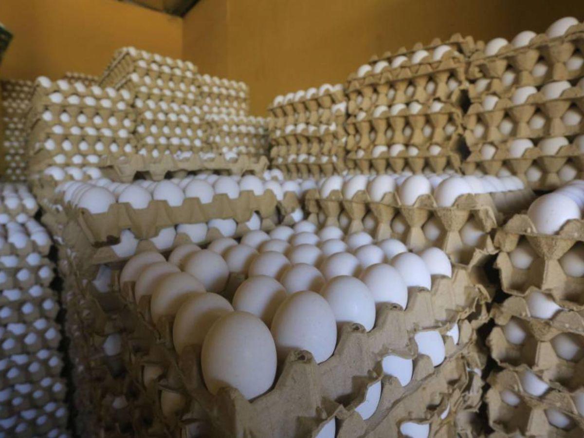 Nueva rebaja al cartón de huevos; a 90 lempiras se cotiza en el Distrito Central