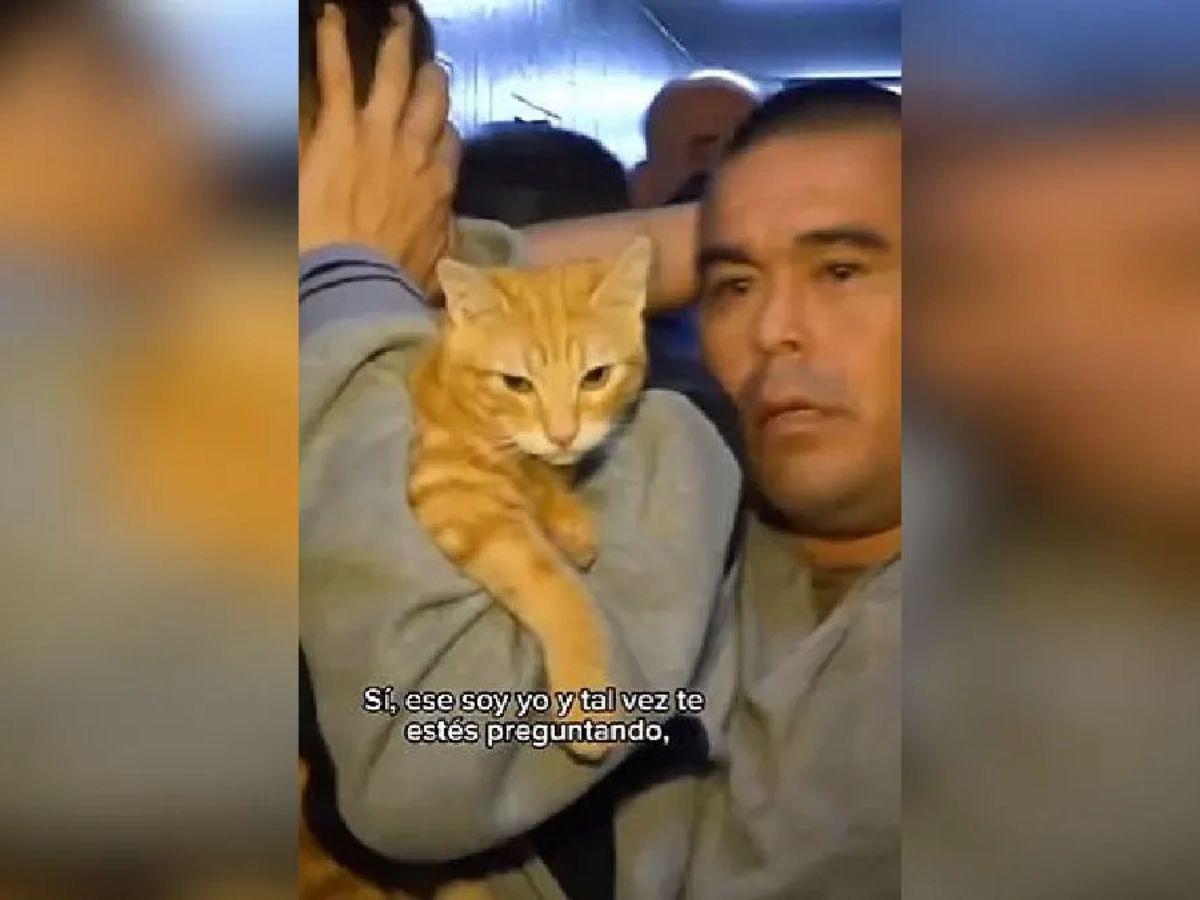 Gato se viraliza por aparecer en requisa de una cárcel en Perú