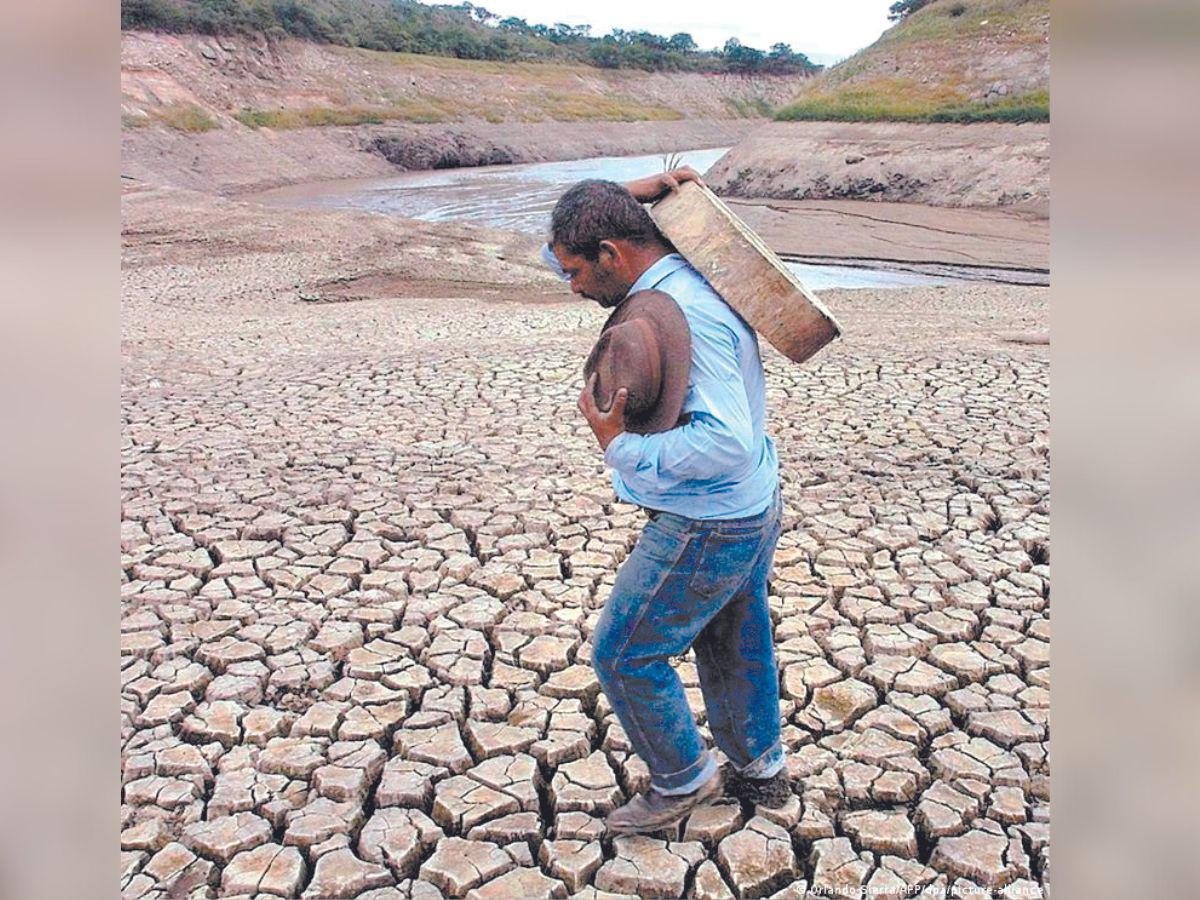 Sequía de 2024 preocupa al sector agro y ganadero en Honduras