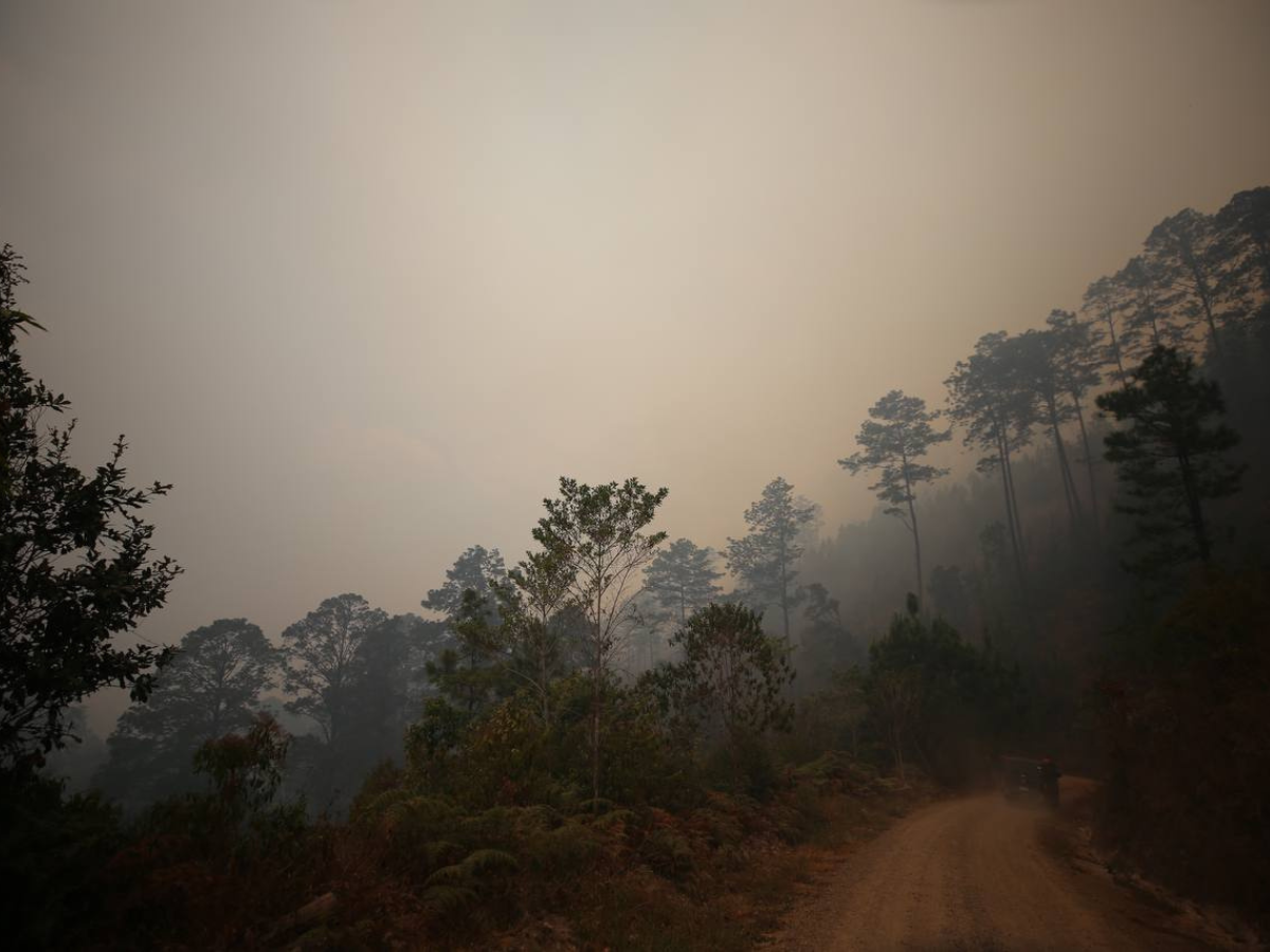“El Niño” e incendios provocarán temperaturas máximas de 43 grados en Honduras