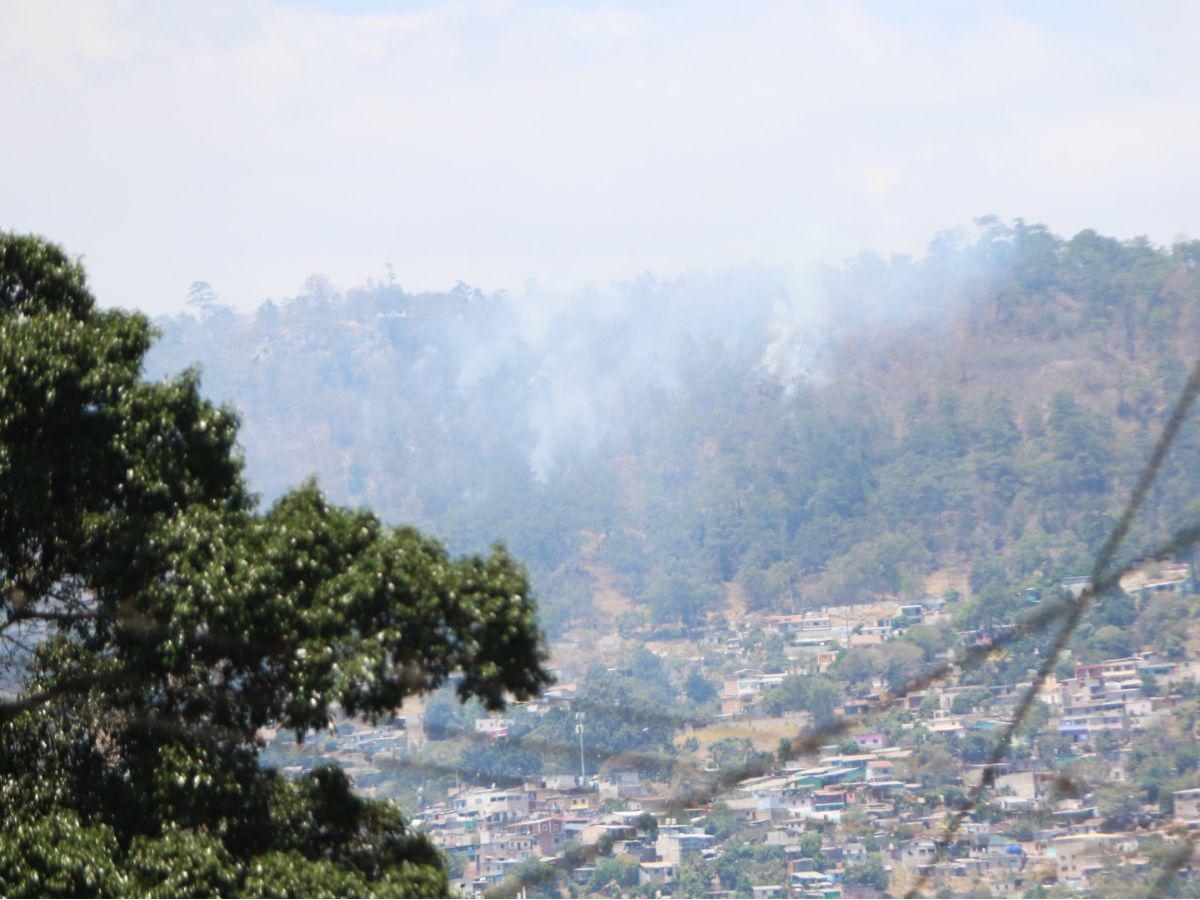 Hasta tres incendios forestales se atienden al día en el Distrito Central