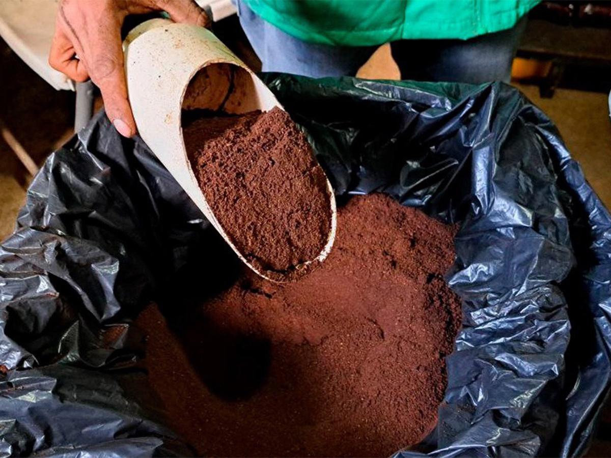 <i>Actualmente Pronaders se enfoca en la construcción de beneficios ecológicos de café. </i>