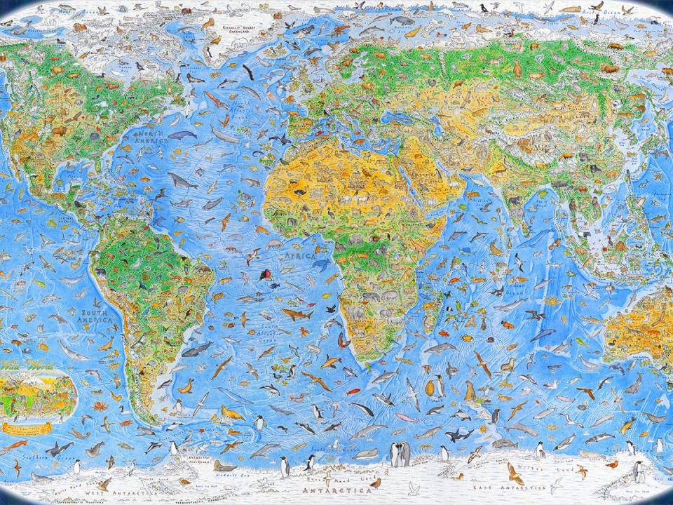 Anton Thomas creó “Wild World”, un mapa del mundo sin fronteras políticas que retrata mil 642 especies animales. Dedicó tres años al proyecto.