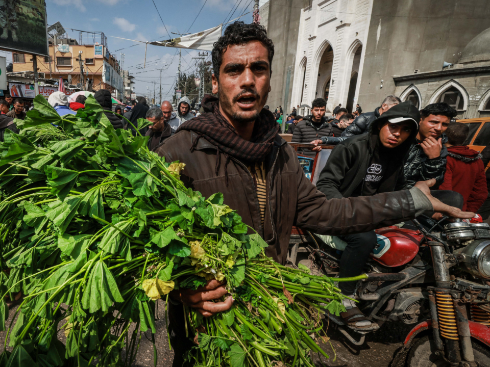 La khobiza ha sido una porción enorme de la dieta de muchos habitantes de Gaza, siendo una fuente económica de comida.