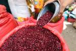 La medida de frijol rojo importado de Nicaragua ha aumentado a 135 lempiras en el mercado Las Américas.