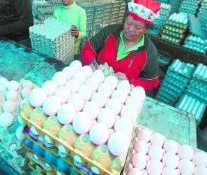 En la feria del agricultor los precios de los huevos se mantienen estables.