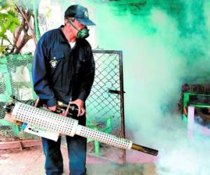 CampaÃ±a de fumigaciÃ³n en la capital para prevenir el zancudo del dengue.
