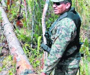 El coronel Luis Enrique Ferrufino es uno de los responsables de comandar las operaciones terrestres.