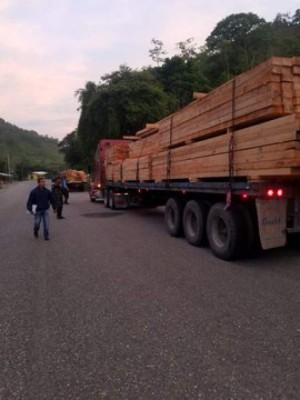 Las imágenes de la Operación Hormiga VI que deja 12 mareros detenidos en Honduras  