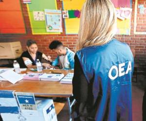 La OEA solo podrá observar el desarrollo de las elecciones.