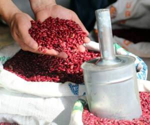 El frijol rojo se ha encarecido en los últimos días.