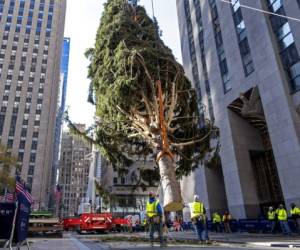 En esta foto de archivo del 14 de noviembre de 2020, trabajadores instalan un abeto noruego en el Rockefeller Center de Nueva York que será el tradicional árbol de Navidad de este año. La ceremonia de encendido el miércoles 2 de diciembre de 2020 estará sujeta a normas estrictas impuestas por la pandemia de coronavirus. Foto: AP