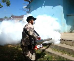 Después de Semana Santa se reforzará la fumigación con bombas LECO en vehículos.