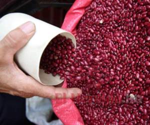 La cosecha de primera de frijoles ha impactado en los precios al por mayor y al consumidor en los mercados capitalinos.