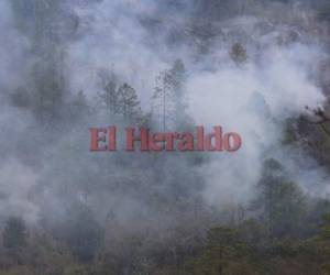 Hasta el momento se desconoce cómo habría iniciado el incendio. (Foto: David Romero/ El Heraldo Honduras)