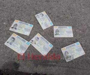 Un lote completo de los nuevos Documentos de Identificación Nacional (DNI), fueron botados en plena vía pública de la capital. FOTO: Alex Pérez/EL HERALDO