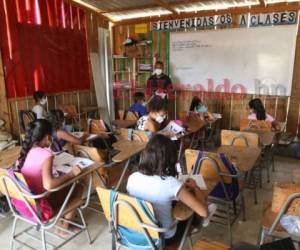 Unos centros educativos brindan clases sin autorización y de manera insegura, por esa razón recomiendan revisar la nueva plataforma.