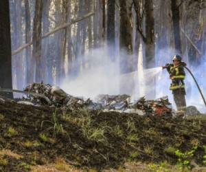 Las imágenes publicadas en Twitter por los bomberos muestran una gran mancha negra envuelta en llamas en el lugar del accidente, entre árboles carbonizados.