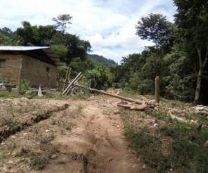 En las últimas horas, las cuadrillas han restablecido el servicio interrumpido por los daños a la red en comunidades como La Unión, Otuta, en Santa Rita Copán, Ostuman, Hacienda Grande, Carrizalito y en Guarita, Departamento de Lempira. Foto: EEH