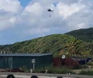 La isla quedó totalmente devastada. De lo que solía ser un hermoso lugar, solo quedaron cúmulos de ceniza, sufriento y dolor.