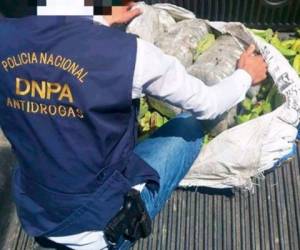 El fin de semana, la Policía Nacional decomisó 50 paquetes de supuesta droga escondidos en sacos de plátano verde en el departamento de Colón.